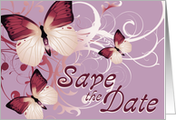 save the date : bachelorette party card