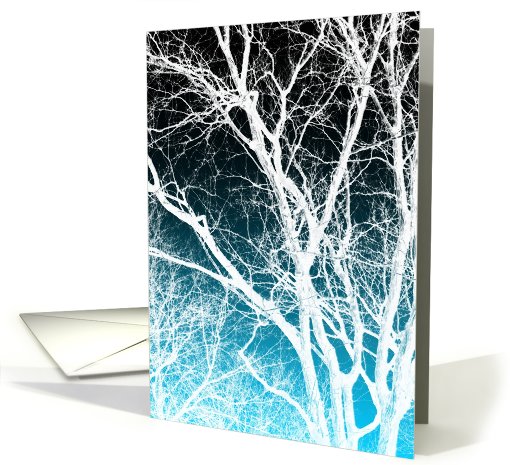 ghost tree at sunrise card (782200)