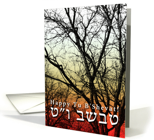 Happy Tu B'Shevat! card (823994)