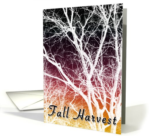 Fall Harvest card (824014)