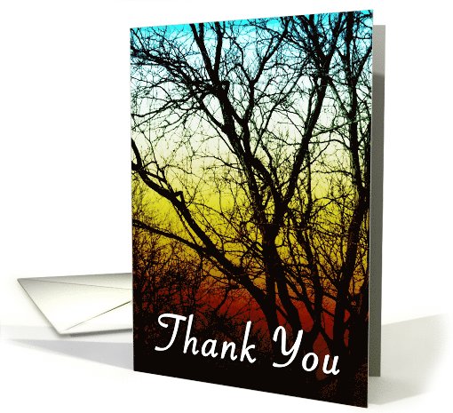 thank you... your kindness is deeply appreciated! card (824028)