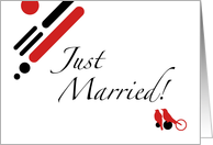 just married! announcement : mod lovebirds card