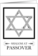 Shalom at Passover card