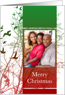 Merry Christmas photo card : silhouscreen tree card