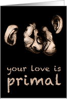 kissing chimps : your love is primal (blank) card