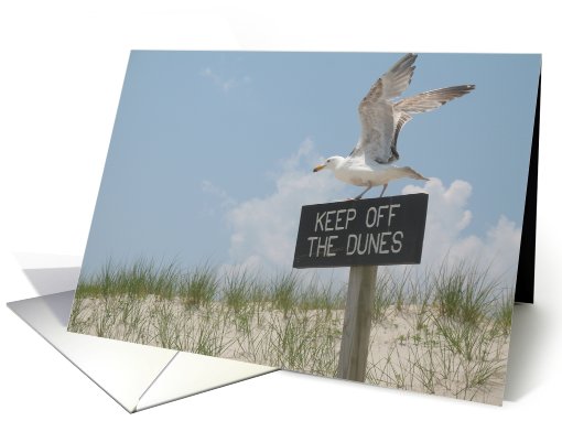 Jersey Shore card (671904)