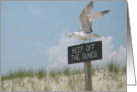 Jersey Shore card