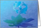 Koi Peace card
