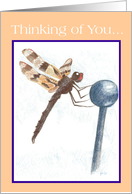 Dragonfly Thinking Of You... card