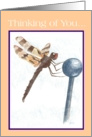 Dragonfly Thinking Of You... card