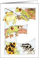 Frog Initial E card