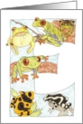 Frog Initial E card