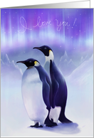 Penguins in Love card