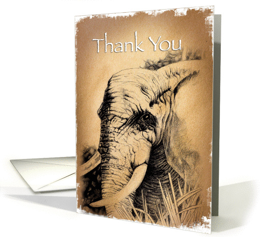 Ellie Thanks card (345555)