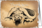 Buffalo Thanks card