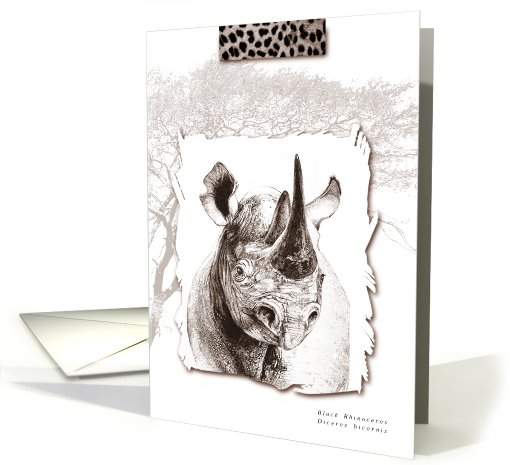 African Black Rhino card (503884)