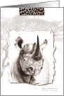 African Black Rhino card