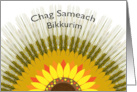 Chag Sameach Bikkurim Firstfruits with Barley Sun Design card