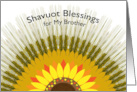 For Brother Shavuot Blessings with Barley Sun Design card