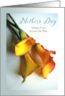 Across the Miles Mother’s Day with Mango Colored Calla Lilies Photo card