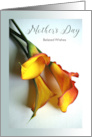 Belated Mother’s Day with Mango Colored Calla Lilies Photograph card