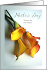 Estranged Mom Mother’s Day with Mango Calla Lilies Photograph card