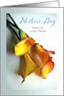 Mamaw Mother’s Day with Mango Colored Calla Lilies Photograph card