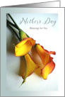 Mother’s Day Christian Themed Blessing with Calla Lilies Photograph card