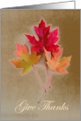 Give Thanks Thanksgiving Maple Leaves on Grunge Background card