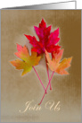 Fall / Autumn Party Invitation, Autumn Leaves card