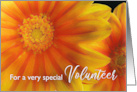 For Volunteer Birthday Poem with Gazania Flowers Painting card