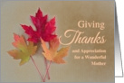 For Mother Thanksgiving with Trio of Grunge Autumn Leaves card