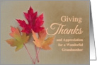 For Grandmother Thanksgiving with Trio of Autumn Leaves card