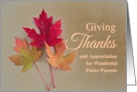 For Foster Parents Thanksgiving with Trio of Autumn Leaves card
