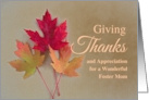 For Foster Mom Thanksgiving with Trio of Grunge Autumn Leaves card