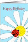Happy Birthday with Ladybug Insect on White Daisy Flower card