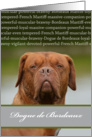 Dogue de Bordeaux, Brown Dog, Blank Inside card