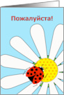 You’re Welcome in Russian with Cute Ladybug on Daisy Flower card