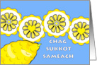 Chag Sukkot Sameach with Whole Etrog and Slices card