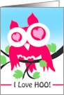 I Love Hoo Valentine’s Day with Cute Owl and Heart Eyes card