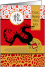 Tet Vietnamese New Year of the Dragon Chuc Mung Nam Moi card