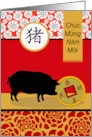 Tet Vietnamese New Year of the Pig Chuc Mung Nam Moi card