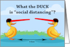 Funny Social Distancing with Ducks Wearing Long Billed Caps card