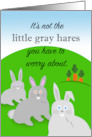 Funny Birthday Getting Older Little Gray Hares card
