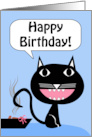 Funny Birthday from the Cat with Gift in Litter Box card