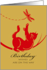 Birthday with Cat Reaching for Dragonfly card