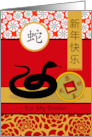 Chinese New Year of the Snake for Brother with Good Luck Coin card