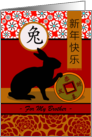 Chinese Year of the Rabbit for Brother Custom Front card