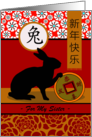 Chinese Year of the Rabbit for Sister Custom Front card