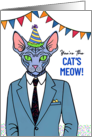 Birthday Sphynx Cat Dressed Up in Suit You’re the Cat’s Meow card